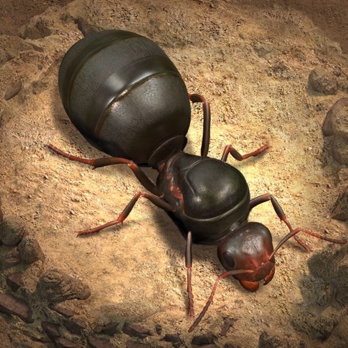 小小蚁国:真实蚂蚁世界 手游充值IOS苹果版ITUNES充值 700元