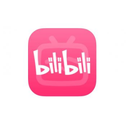 bilibili 哔哩哔哩 b站 b币充值 电池充值 大会员 漫币 大航海充值（联系客服扫码充值）